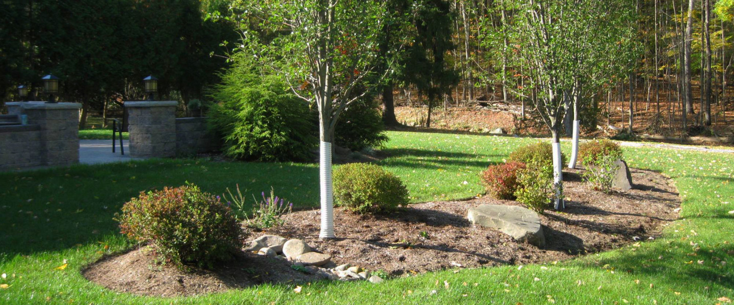 Choose a Landscaping Company With 17+ Years of Experience