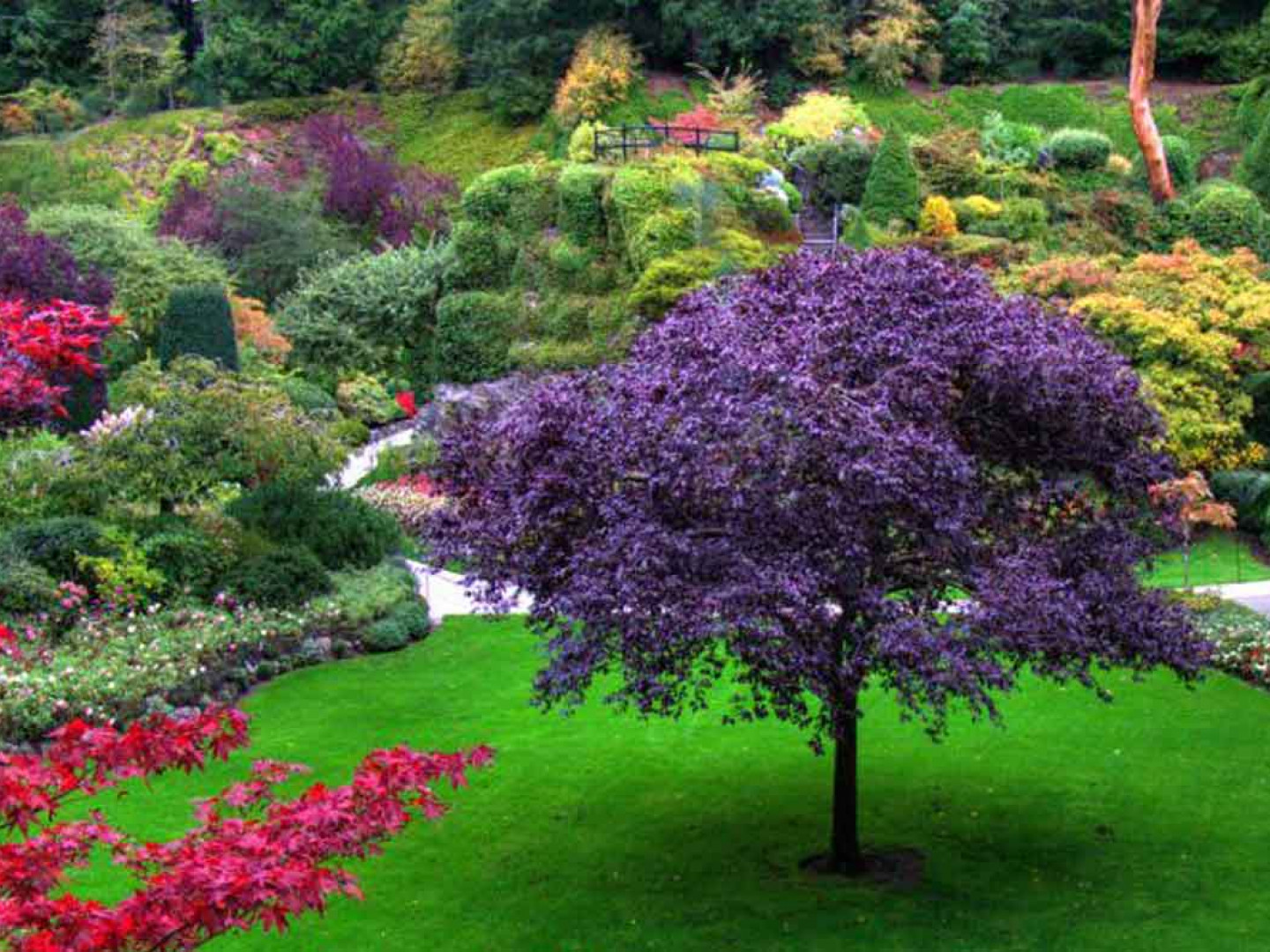 Landscape Maintenance Vestal & Endicott, NY Empire Lawn & Landscape Development